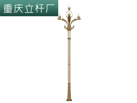 重庆道路玉兰灯