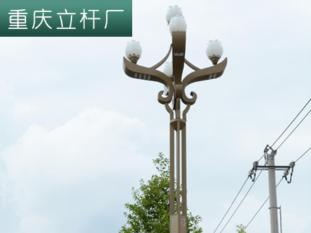 重庆景观玉兰灯