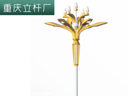重庆玉兰灯